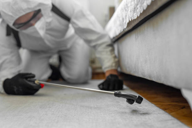 Professional Bed Bug Control technician working in Poseyville, IN